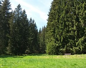 Guest house 0324704 - Holiday property Thuringia - Vakantiehuisje in Grobreitenbach