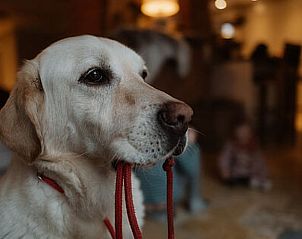 Guest house 0331210 - Holiday property Bavaria - Vakantiehuis in Haundorf