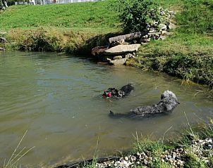 Verblijf 03313201 - Vakantiewoning Beieren - Huisje in Schöfweg