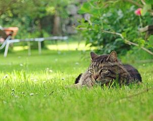 Verblijf 03314014 - Vakantiewoning Beieren - Vakantiehuisje in Oberstaufen