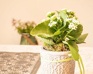 Guest house 03374603 - Holiday property Bavaria - Huisje in Riedering