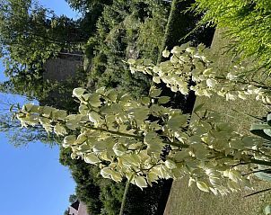 Verblijf 03391401 - Vakantiewoning Beieren - Vakantiehuis Ederer