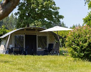 Genieen Sie die Ruhe und den Frieden im Glampingzelt Auf Kengert Lodge in Larochette, Luxemburg, umgeben von ppiger Natur.