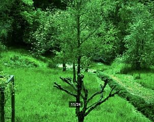 Guest house 0380118 - Holiday property Auvergne - Zonnig huis in Allier