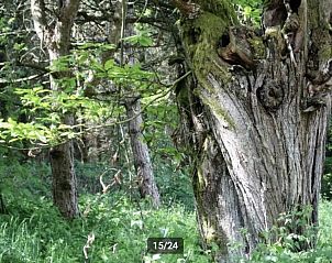 Guest house 0380118 - Holiday property Auvergne - Zonnig huis in Allier