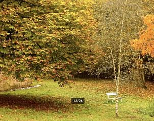 Guest house 0380118 - Holiday property Auvergne - Zonnig huis in Allier