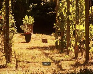 Guest house 0380118 - Holiday property Auvergne - Zonnig huis in Allier