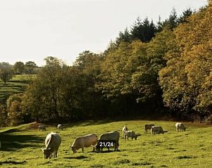 Guest house 0380118 - Holiday property Auvergne - Zonnig huis in Allier