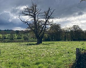 Verblijf 03812203 - Vakantiewoning Auvergne - Huisje in Saint Gervais d'Auvergne