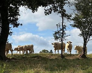 Verblijf 03812203 - Vakantiewoning Auvergne - Huisje in Saint Gervais d'Auvergne
