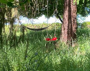 Verblijf 03812203 - Vakantiewoning Auvergne - Huisje in Saint Gervais d'Auvergne