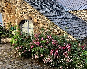 Vakantiehuisje in Moudeyres, Auvergne: charmant stenen vakantiehuis omringd door bloemenpracht in het Franse landschap.