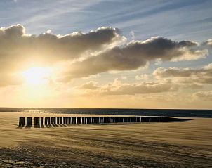 Guest house 0401142 - Holiday property Ameland - Estrella