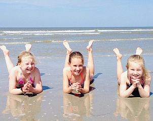 Guest house 0401142 - Holiday property Ameland - Estrella