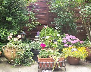 Weelderige tuin bij Bed and Breakfast 't Zuid in Antwerpen, perfect voor een ontspannen moment in de natuur.