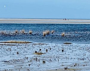 Guest house 040147 - Chalet Ameland - Kia Ora