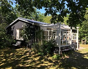 Verblijf 040179 - Bungalow Ameland - Alba Rose