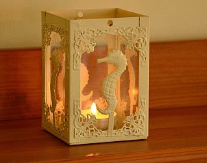 Guest house 0402106 - Chalet Ameland - Strandjutter G2