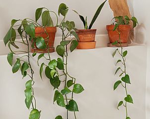 Verblijf 0402303 - Vakantiewoning Bourgondië - Huisje in Chablis