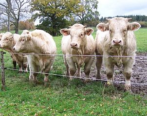 Verblijf 04023701 - Vakantiewoning Bourgondië - Vakantiehuis in Marly-sous-issy