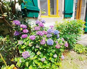 Verblijf 04023701 - Vakantiewoning Bourgondië - Vakantiehuis in Marly-sous-issy