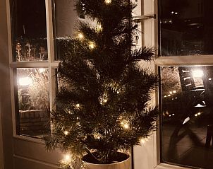 Kerstsfeer in vakantiehuis 't Roefke in Hollum, Ameland met verlichte mini-kerstboom.