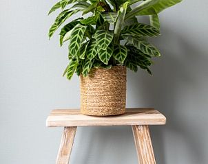 Unterkunft 0403194 - Appartement Ameland - Dwarsdeel