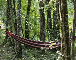 Verblijf 04033904 - Vakantiewoning Bourgondië - Huisje in Sougeres en Puisaye