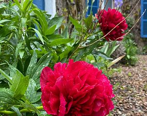 Verblijf 04034401 - Vakantiewoning Bourgondië - Vakantiehuisje in Lucenay-L'évêque