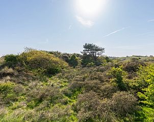 Verblijf 0404123 - Appartement Ameland - Zand