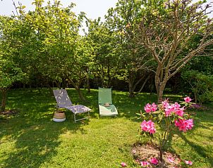 Guest house 0411906 - Holiday property Brittany - Vakantiehuis Ty Didrouz