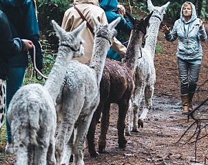 Unterkunft 0412203 - Ferienhaus Antwerpen - Vakantiehuis in Minderhout