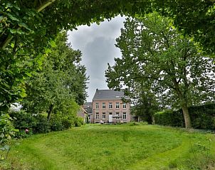 Ruime tuin bij Amand'eau vakantiehuis in Sint-Amands, Antwerpen omgeven door weelderige natuur en bomen.