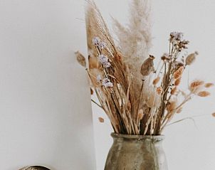 Stijlvolle decoratieve vaas in Charmeverblijf Juliette, vakantiehuis in Kasterlee, Antwerpen.