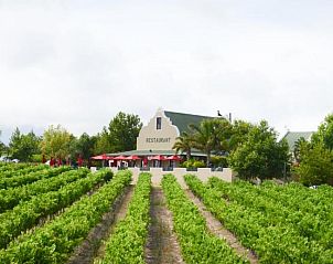 Guest house 04272101 - Holiday property West-Kaap - Skilpadvlei Wine Farm