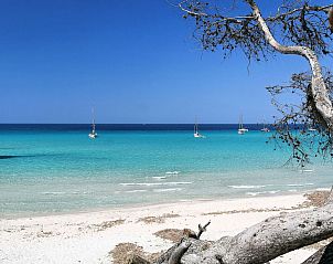 Verblijf 04311511 - Appartement Corsica - Appartement T3 Costa D'Oru