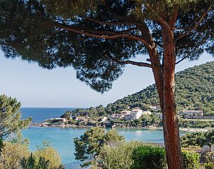 Unterkunft 0431803 - Appartement Korsika - Appartement Le Télémaque 2 pièces Mezzanine