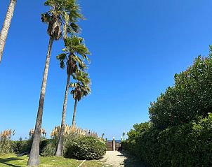 Verblijf 04323101 - Vakantiewoning Corsica - Vakantiehuis Les Chênes