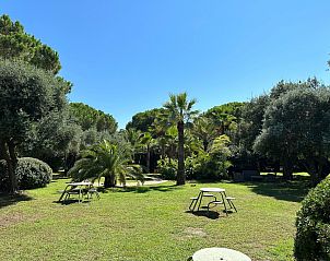 Verblijf 04323101 - Vakantiewoning Corsica - Vakantiehuis Les Chênes