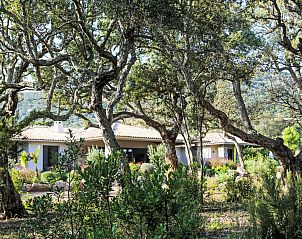 Unterkunft 04327809 - Ferienhaus Korsika - Vakantiehuis La Cupulatta