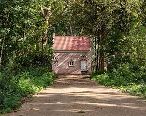 Atelier van Antonine vakantiehuis in Bornem, Antwerpen, omgeven door weelderige natuur.