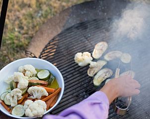 Unterkunft 044003 - Ferienhaus Antwerpen - Huisje in Wuustwezel