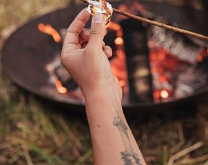 Unterkunft 044003 - Ferienhaus Antwerpen - Huisje in Wuustwezel