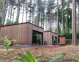 Vakantiehuis in Lille, Antwerpen, Belgi, omringd door serene bossen, biedt een rustieke en moderne ontsnapping in de natuur.