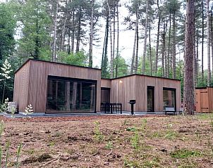 Vakantiehuis in Lille, Antwerpen, Belgi omringd door bosrijke natuur, biedt rustieke charme en modern comfort.