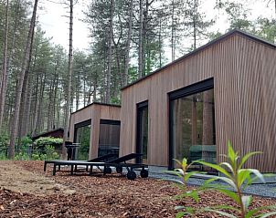 Vakantiehuis in Lille, Antwerpen, Belgi, omgeven door serene natuur en moderne architectuur in een bosrijke omgeving.