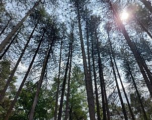 Verblijf 044210 - Vakantiewoning Antwerpen - Vakantiehuis in Lille