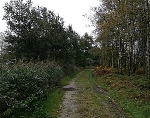 Verblijf 044210 - Vakantiewoning Antwerpen - Vakantiehuis in Lille