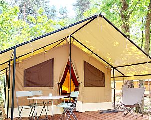 Guest house 04516203 - Tent house Center - Ponza tent