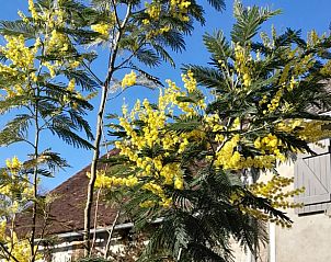 Unterkunft 04517510 - Ferienhaus Center - Huisje in Lignac